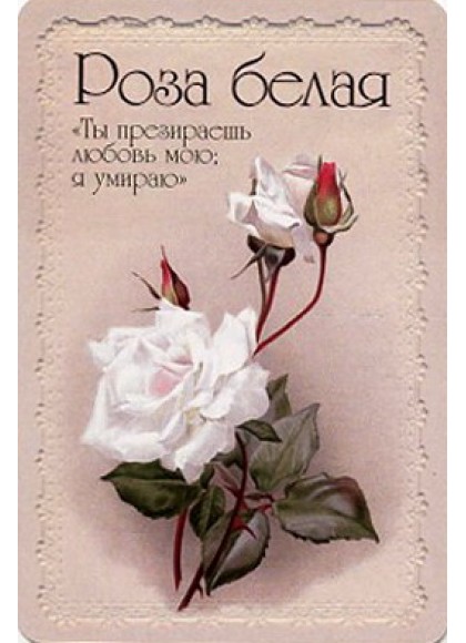 Оракул «Селам или Язык Цветов»